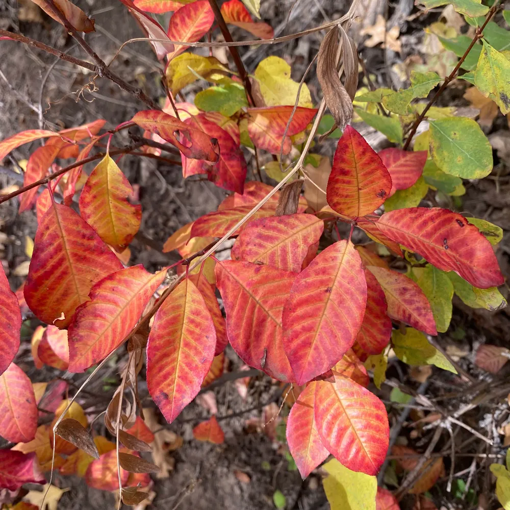 awinbauer.bsky.social's profile picture