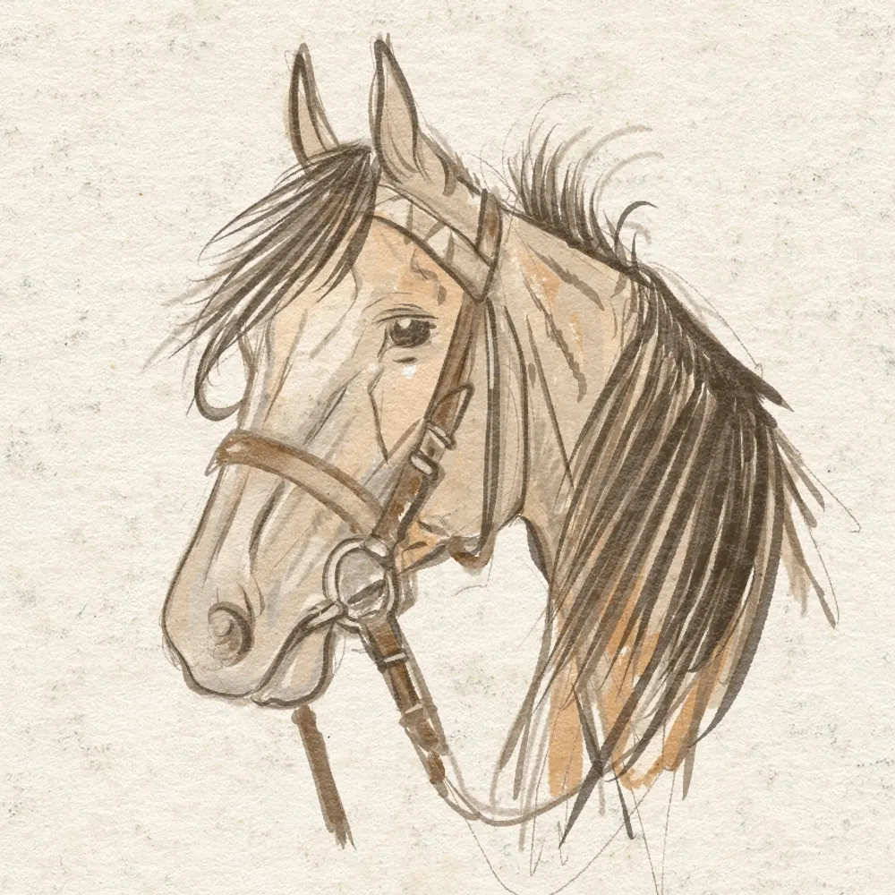 willowkennedy.bsky.social's profile picture