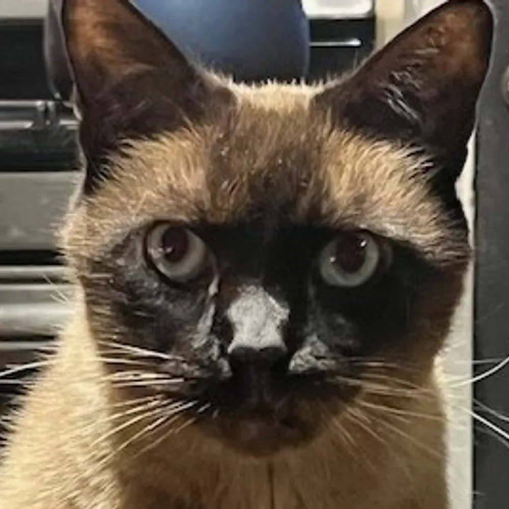 fchap.bsky.social's profile picture