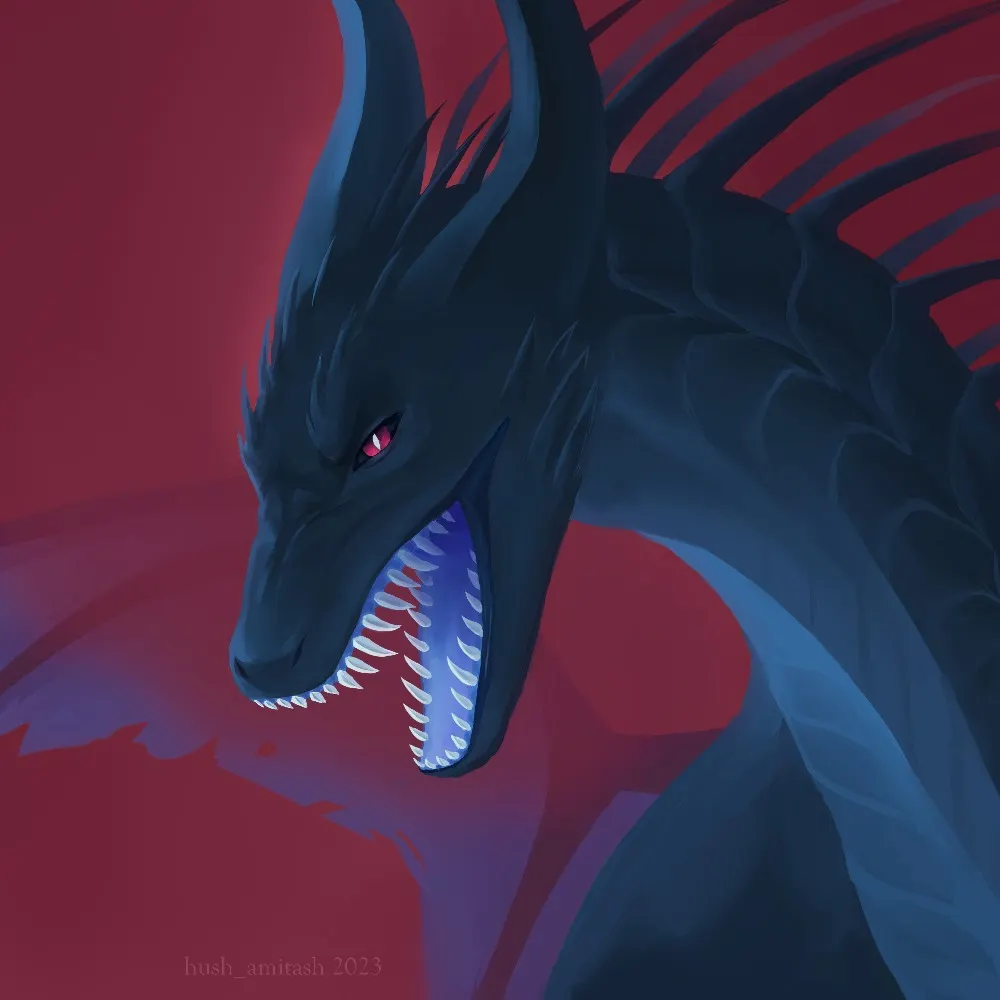 hushamitash.bsky.social's profile picture