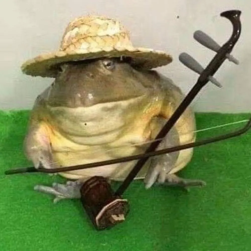 buckrawheat.bsky.social's profile picture