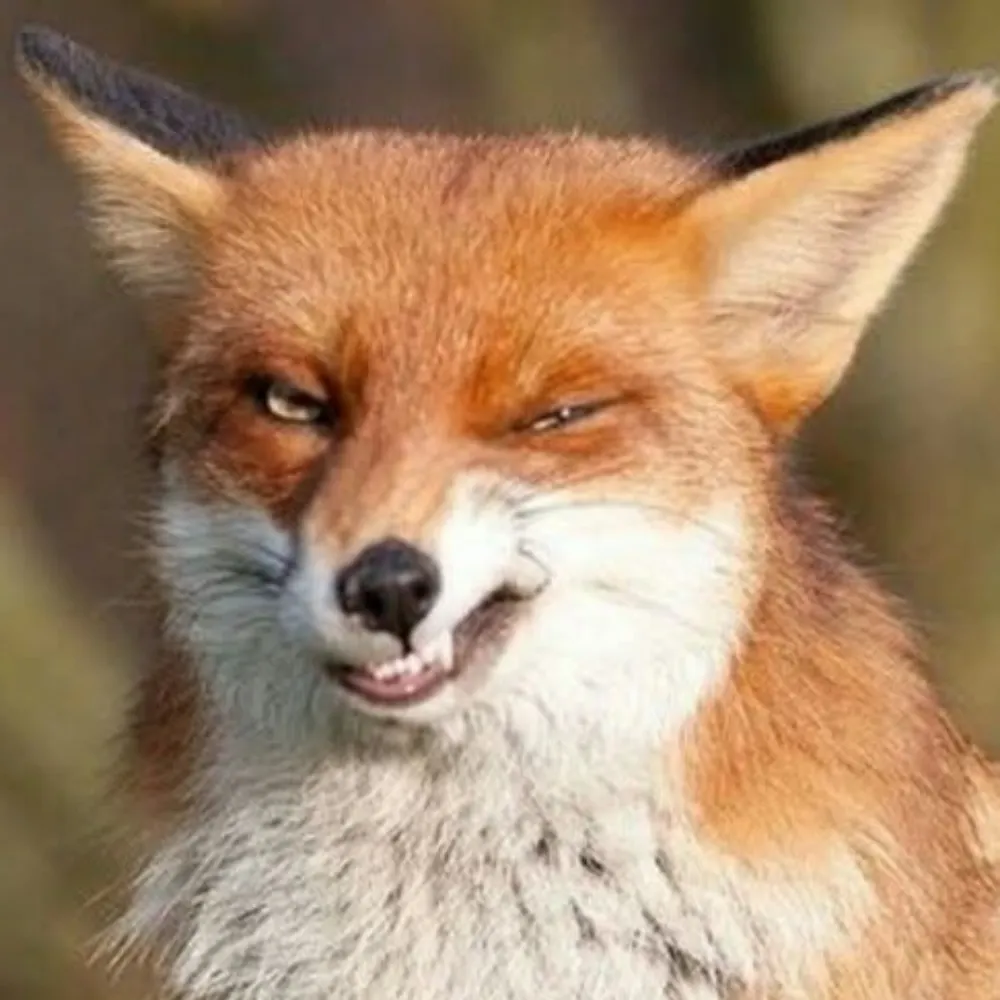 nanalurocks.bsky.social's profile picture