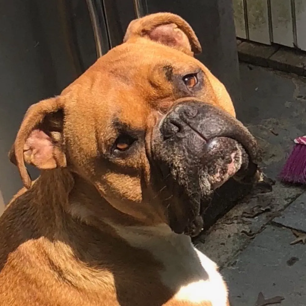 kdrandbear.bsky.social's profile picture