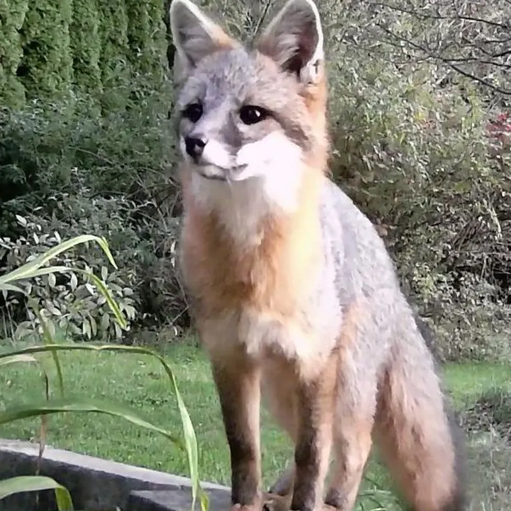 pennadem.bsky.social's profile picture