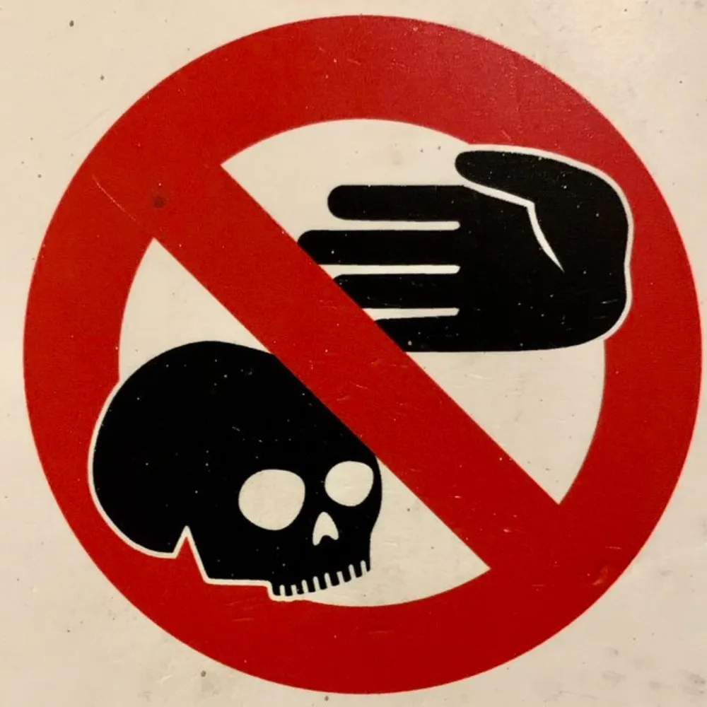 msbadexample.bsky.social's profile picture