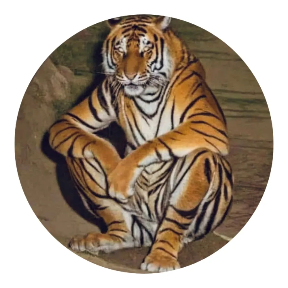 bensonisrad.bsky.social's profile picture