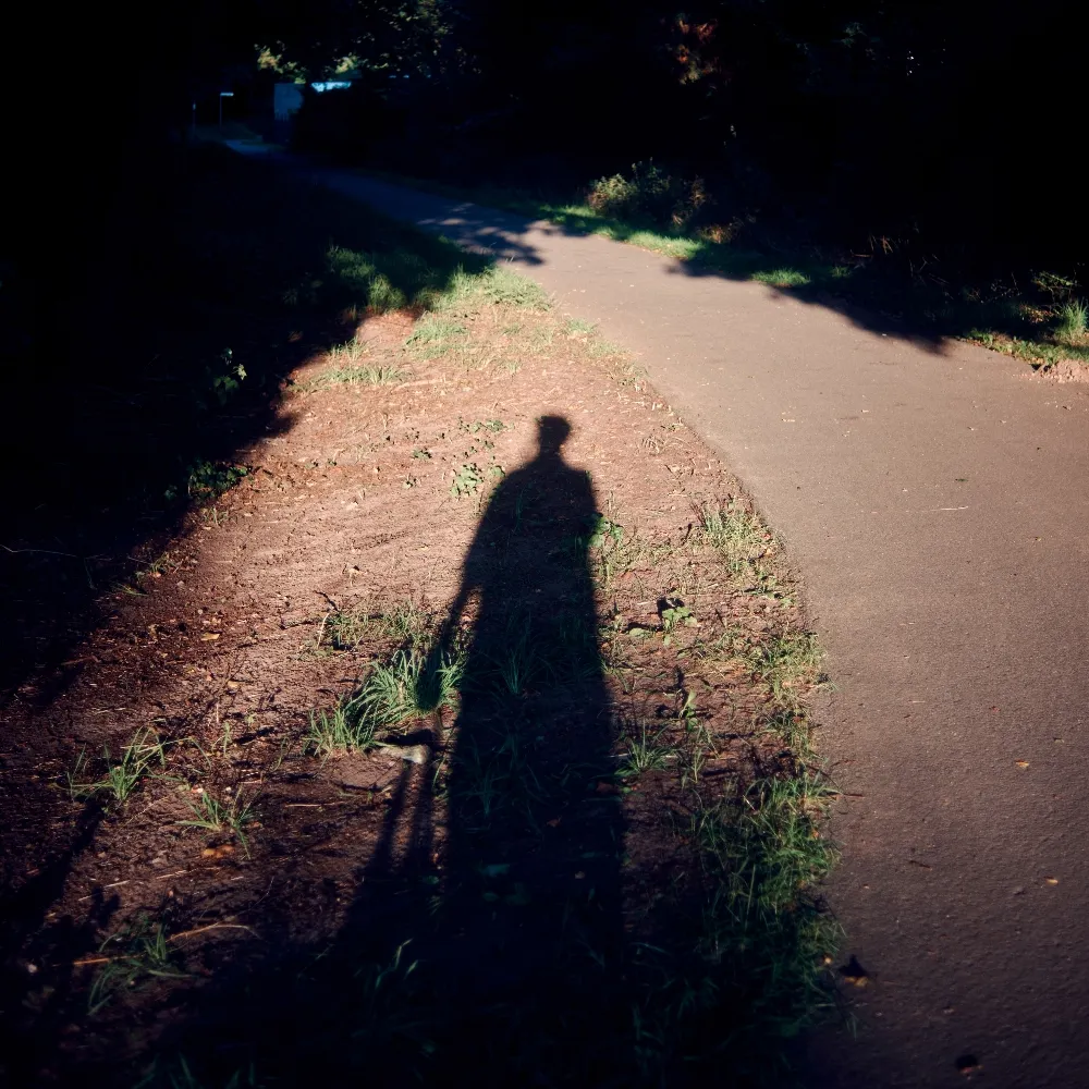 chillybears.bsky.social's profile picture