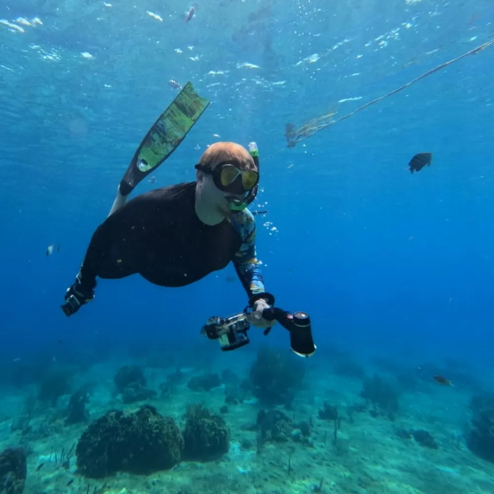 makkarei.bsky.social's profile picture