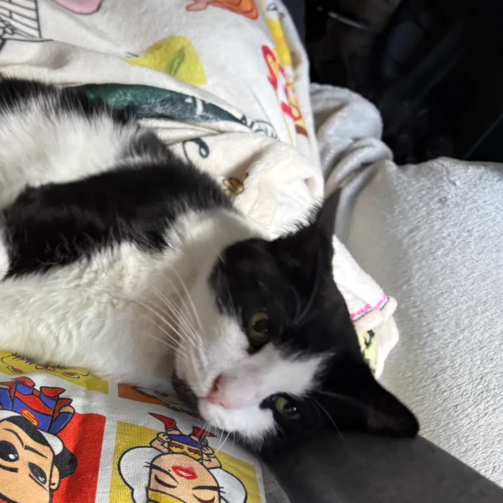 happycanadian1962.bsky.social's profile picture