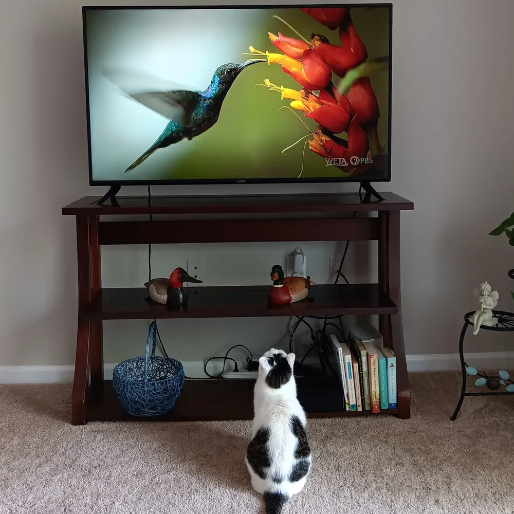 adfonteslogos.bsky.social's profile picture