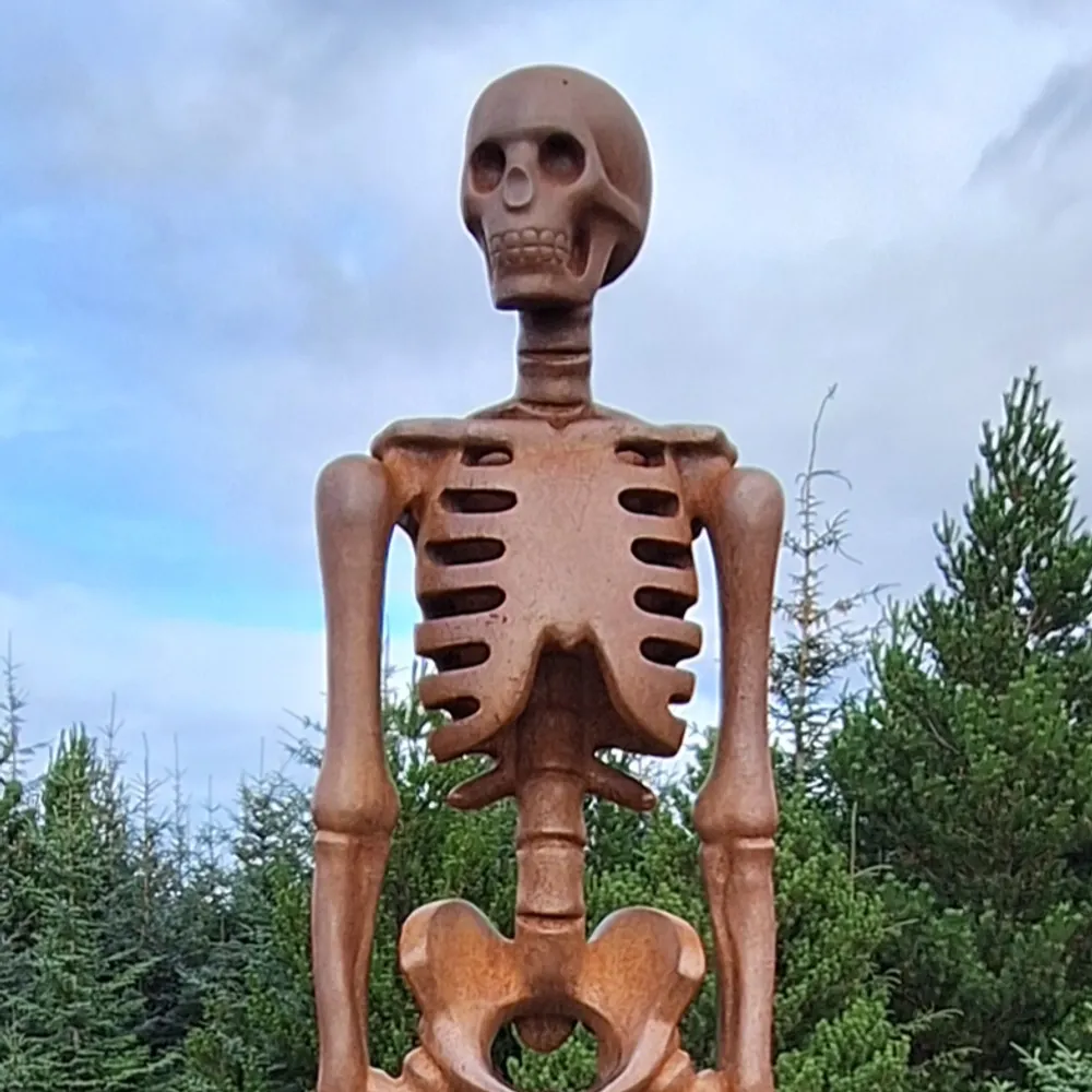 lucyarnold.bsky.social's profile picture