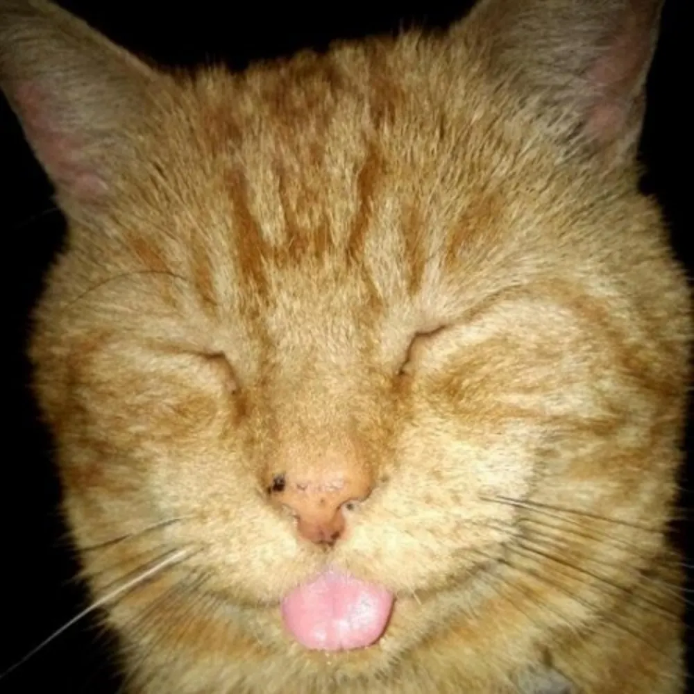 wicky.nillia.ms's profile picture