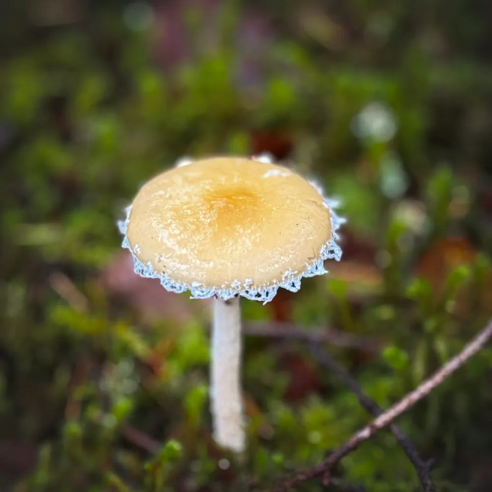 tenoaks6.bsky.social's profile picture