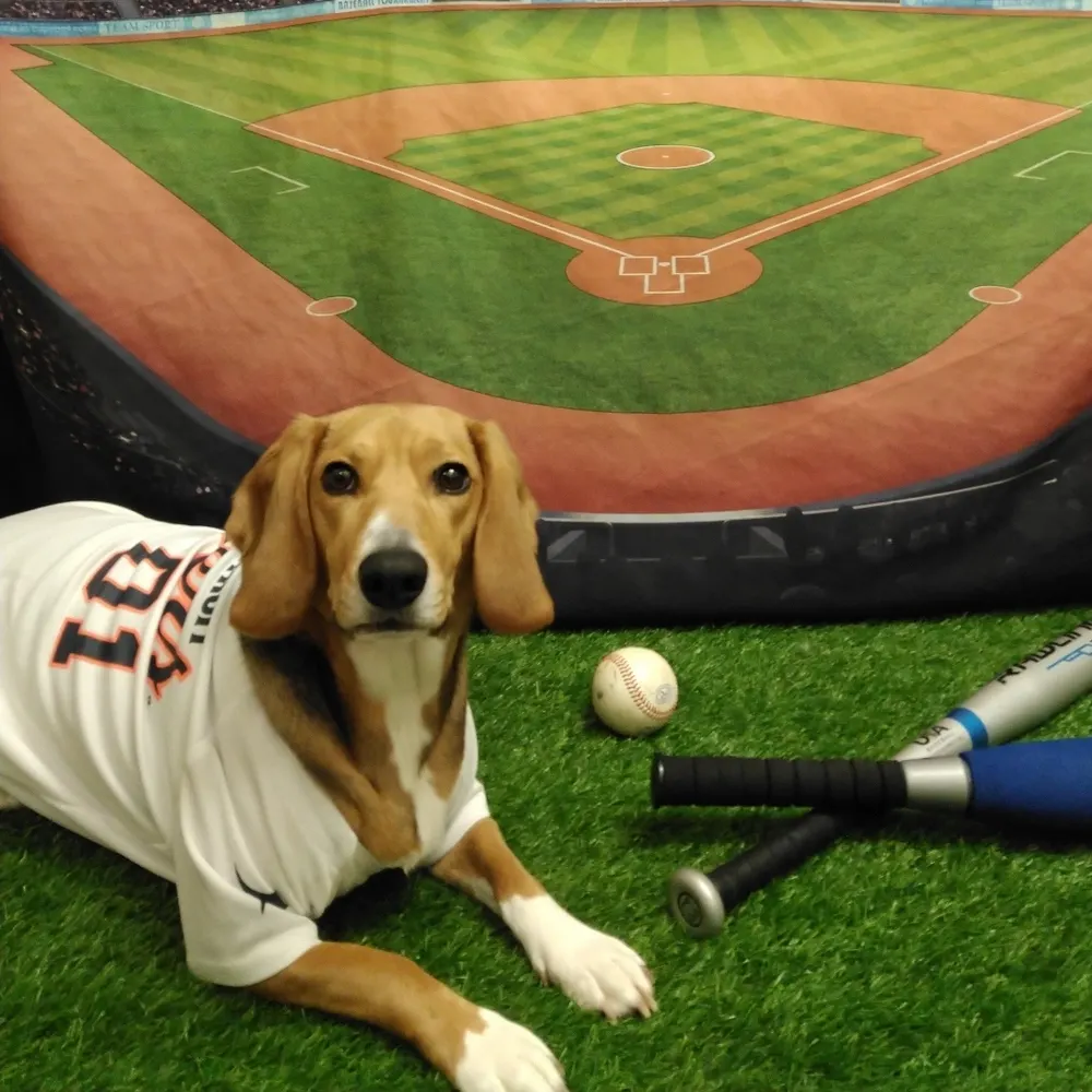 mandysmom.bsky.social's profile picture