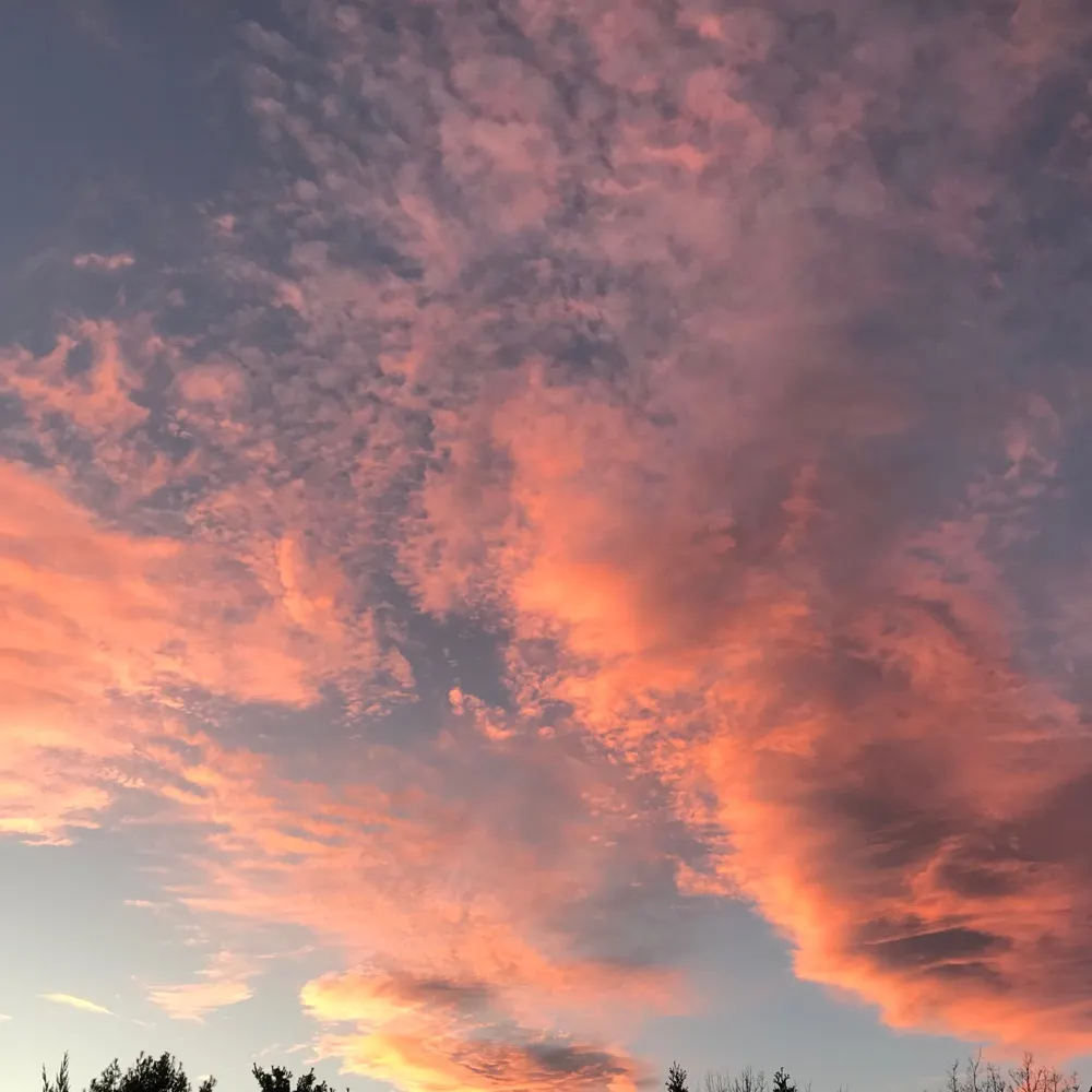 gallopinggoat.bsky.social's profile picture