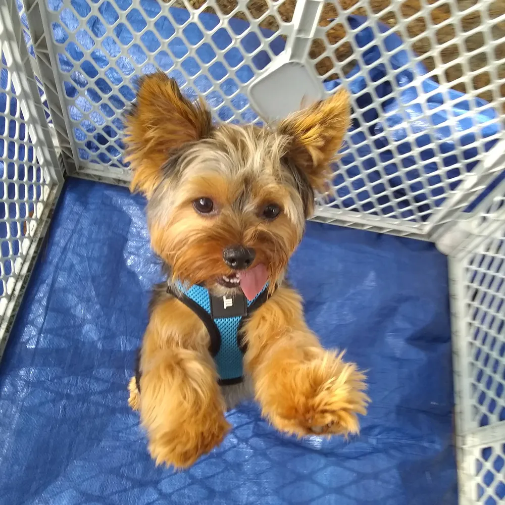 cadymire.bsky.social's profile picture