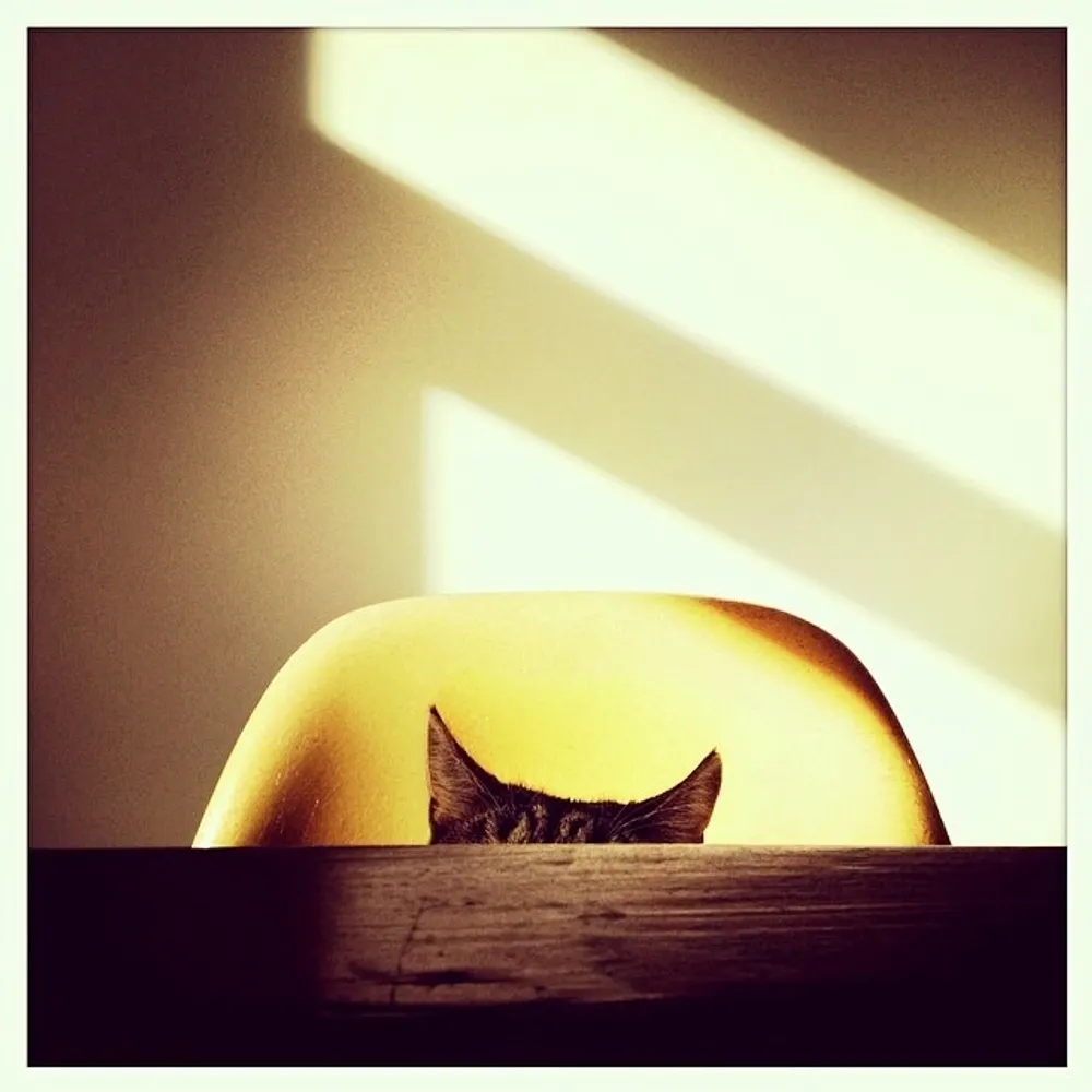 swansonian.bsky.social's profile picture