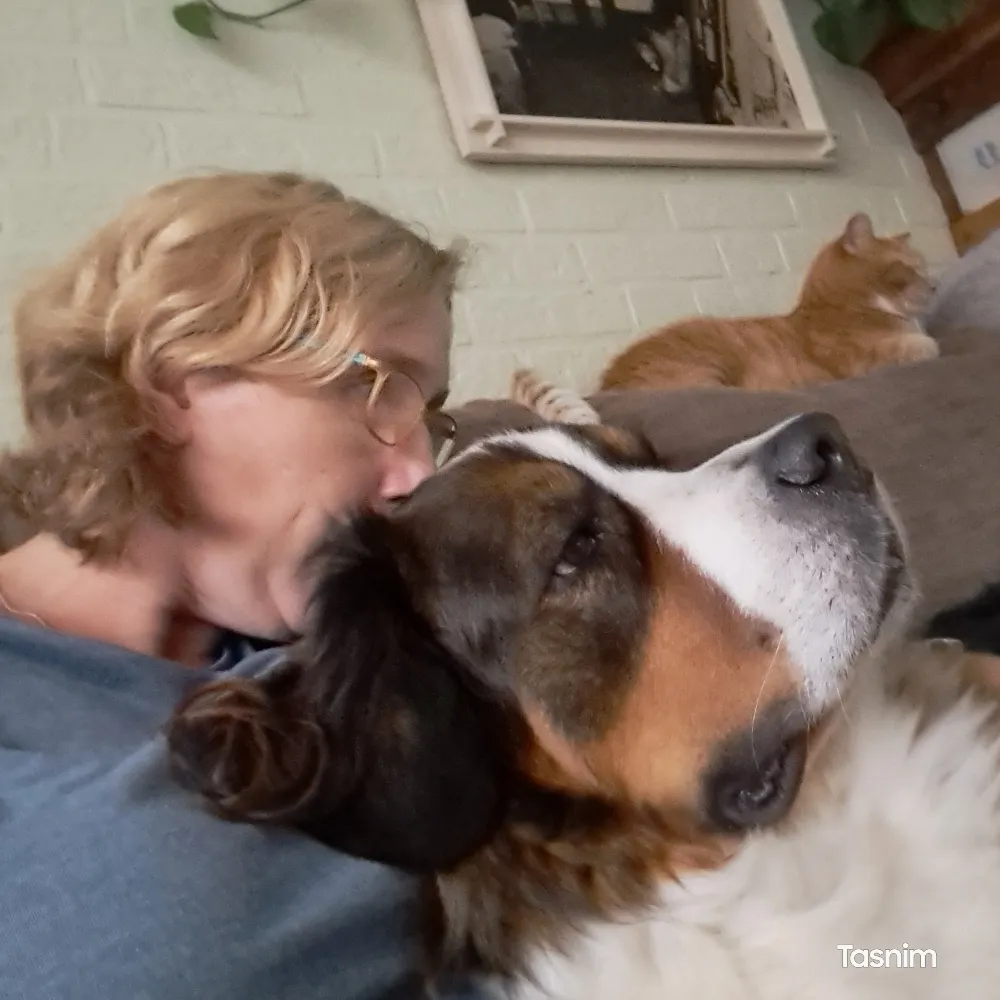 paddopoes.bsky.social's profile picture