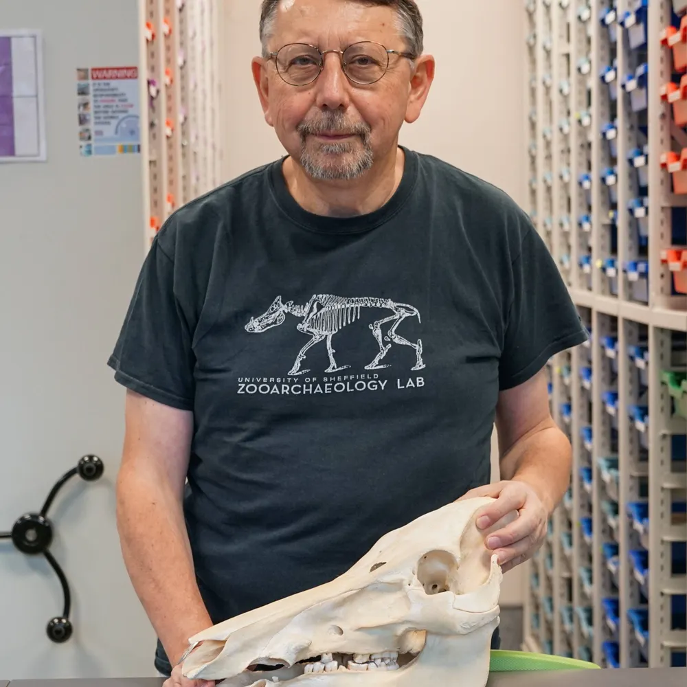 umbertoalbarella.bsky.social's profile picture