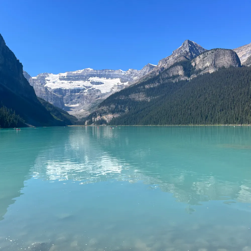 msyc06.bsky.social's profile picture