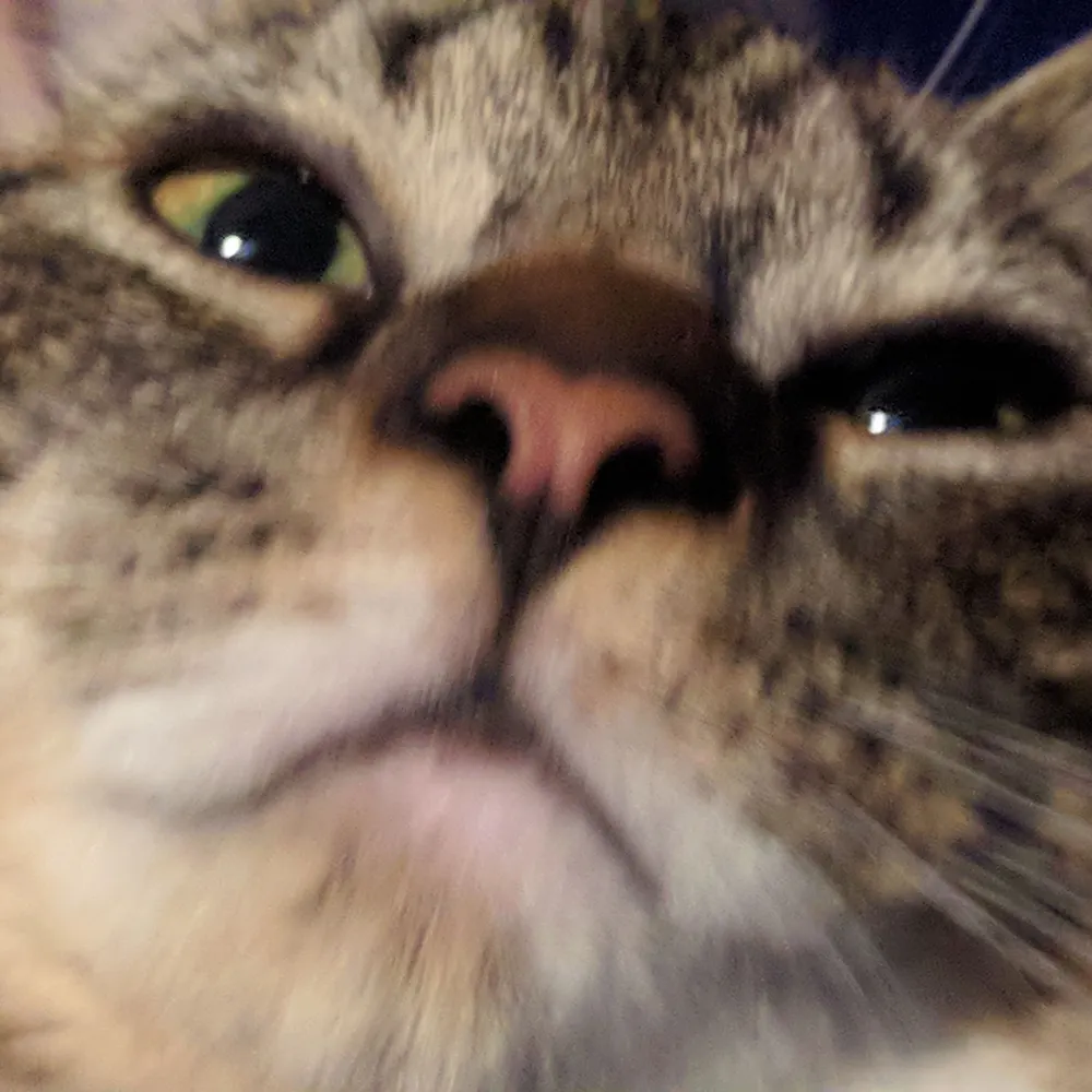 martinthebard.bsky.social's profile picture