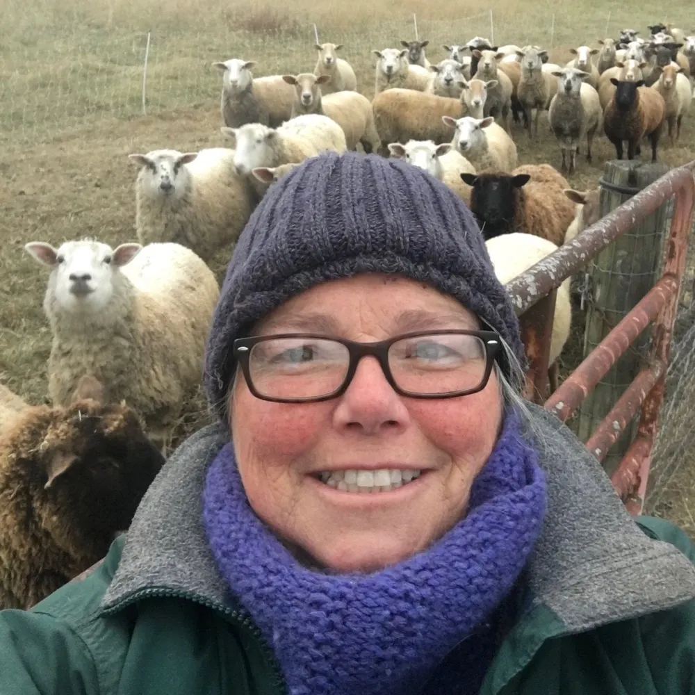 paintedhandfarm.bsky.social's profile picture