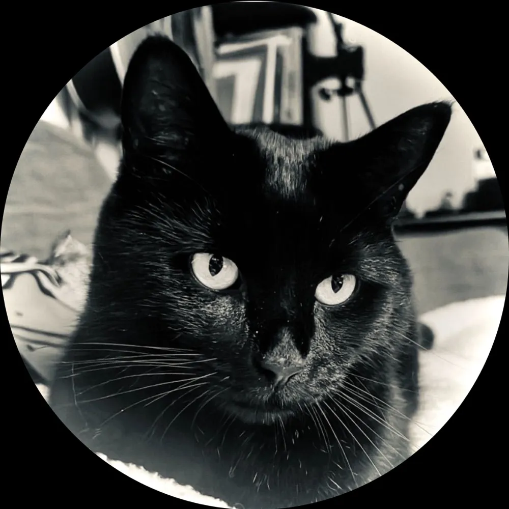 drcj.bsky.social's profile picture