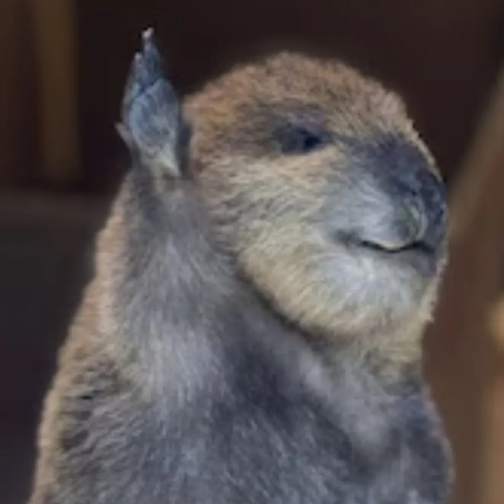 aegg527.bsky.social's profile picture