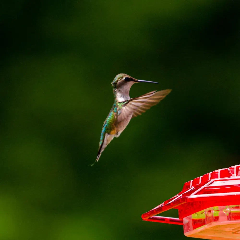 mbalaw.bsky.social's profile picture