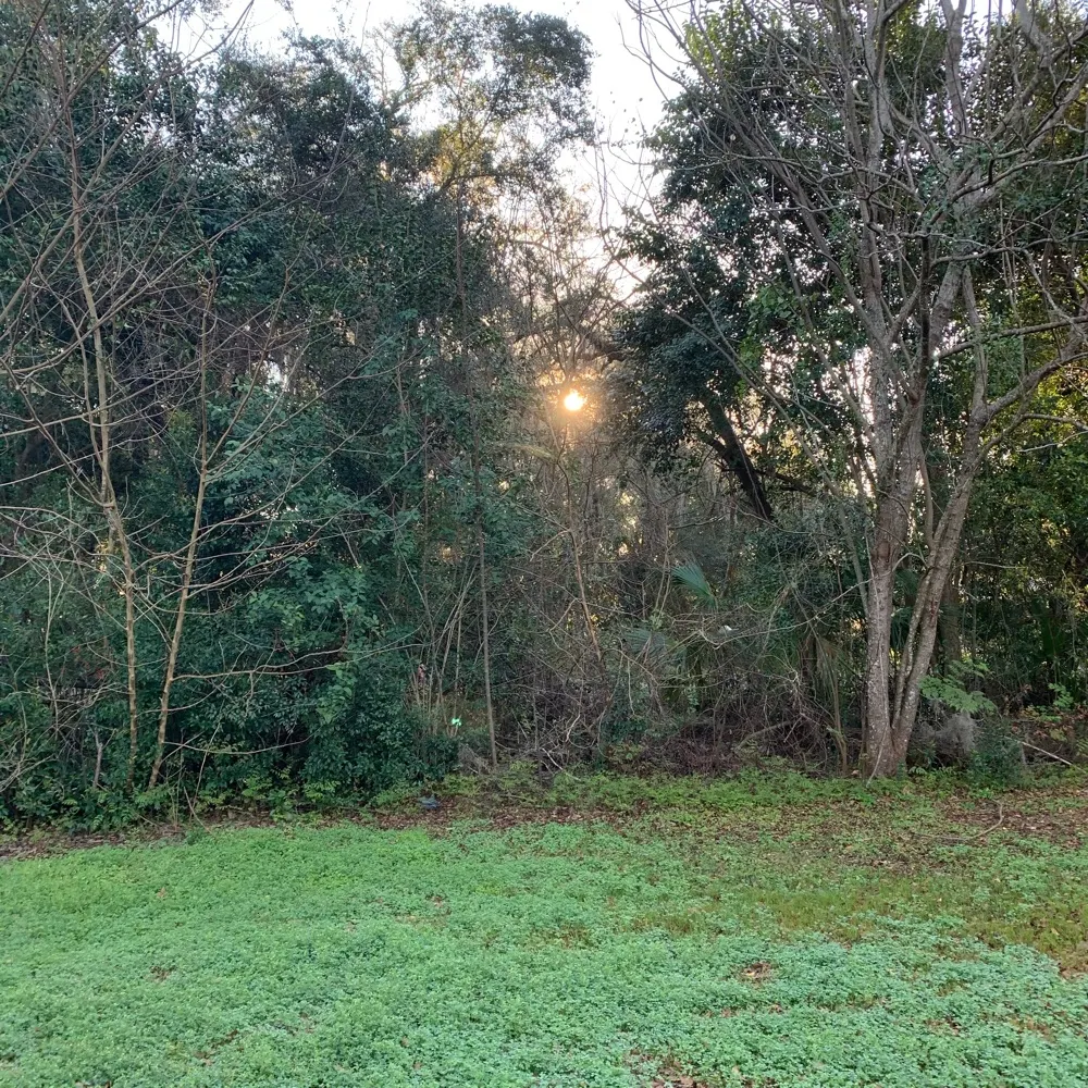 abesmith5b.bsky.social's profile picture