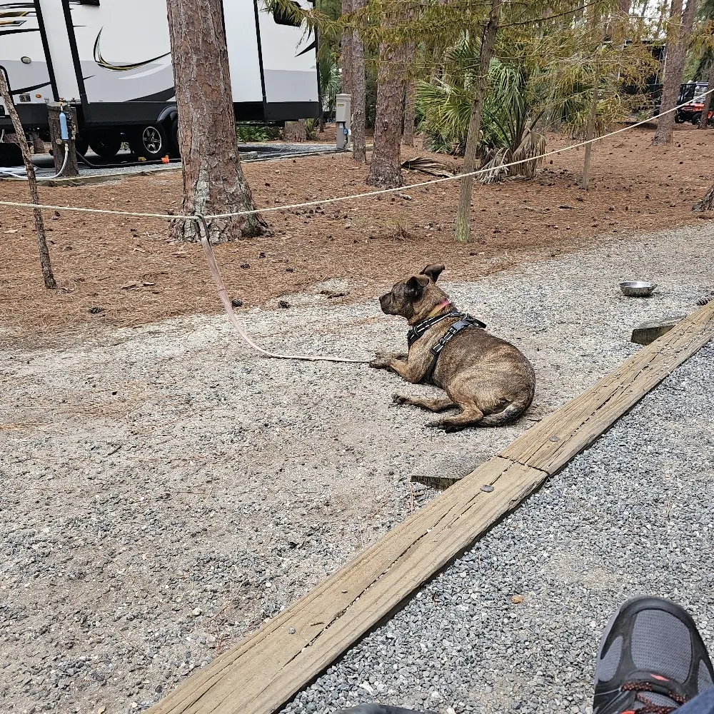 handymanken.bsky.social's profile picture