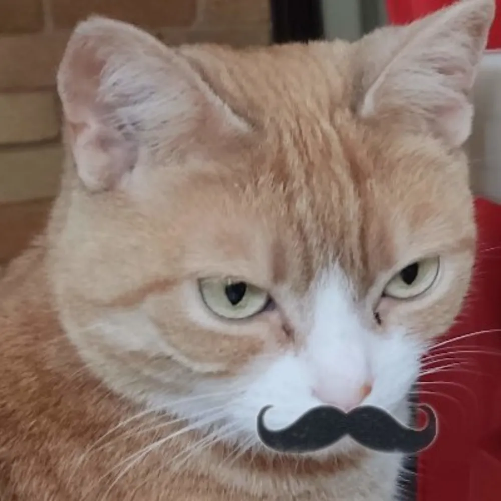 myfreecats.com's profile picture