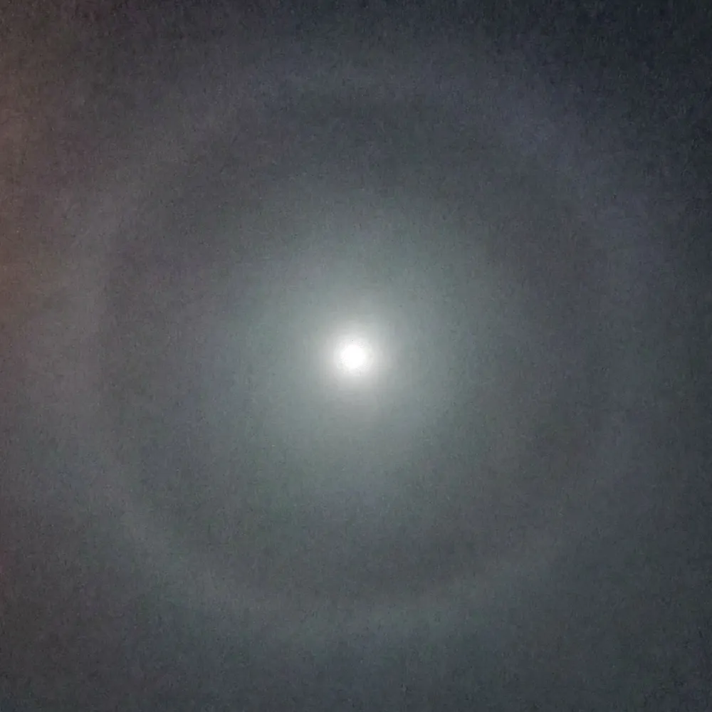 rockhopper420.bsky.social's profile picture