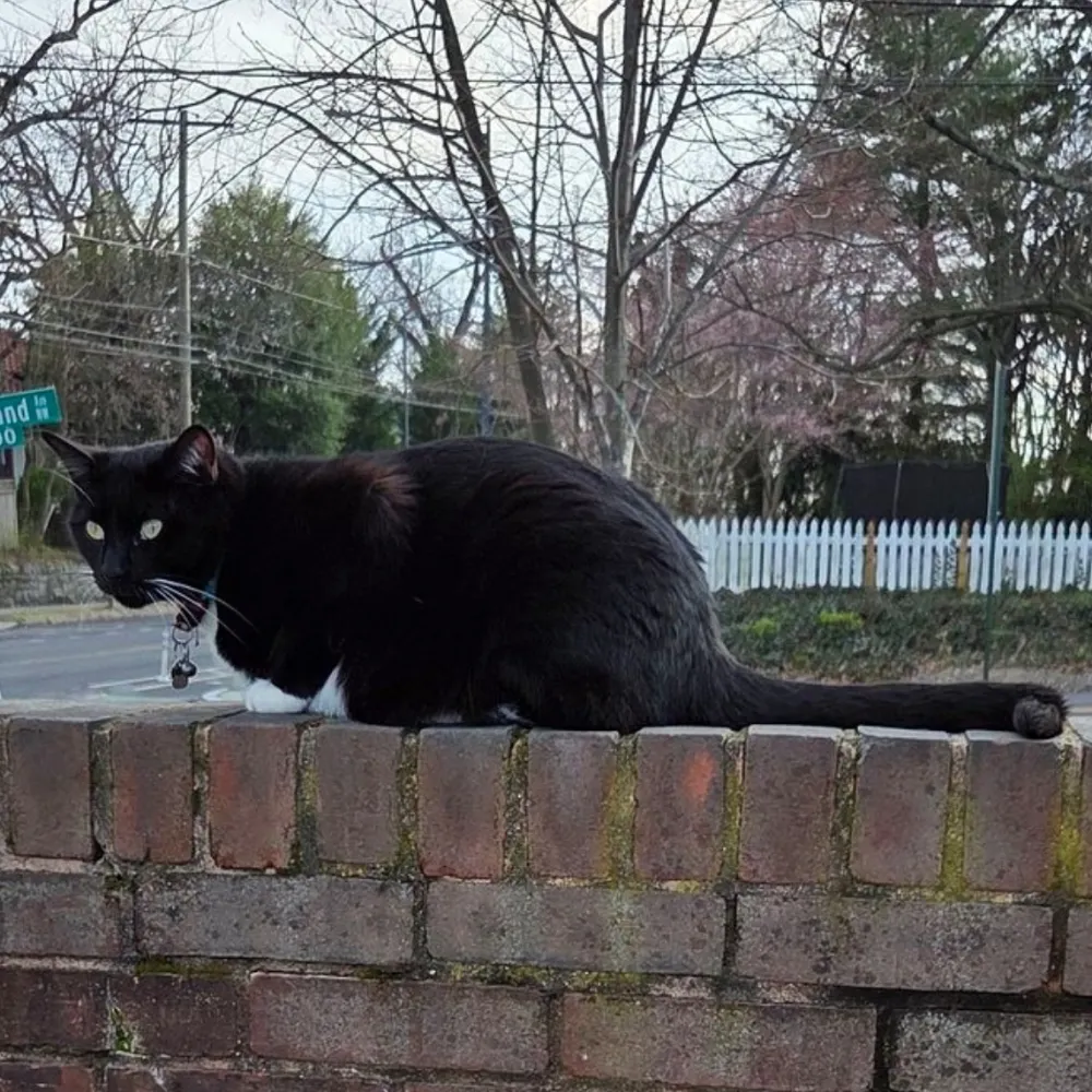 skroha.bsky.social's profile picture