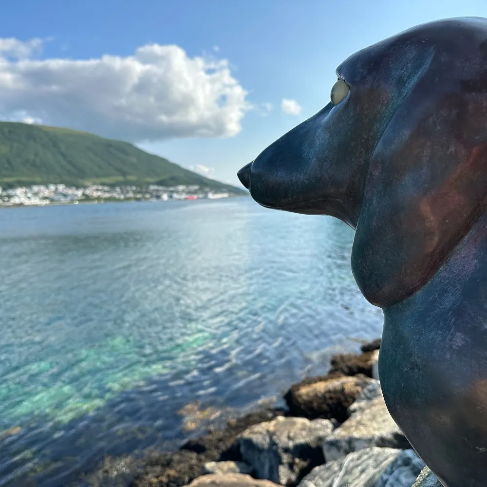 abbona.bsky.social's profile picture