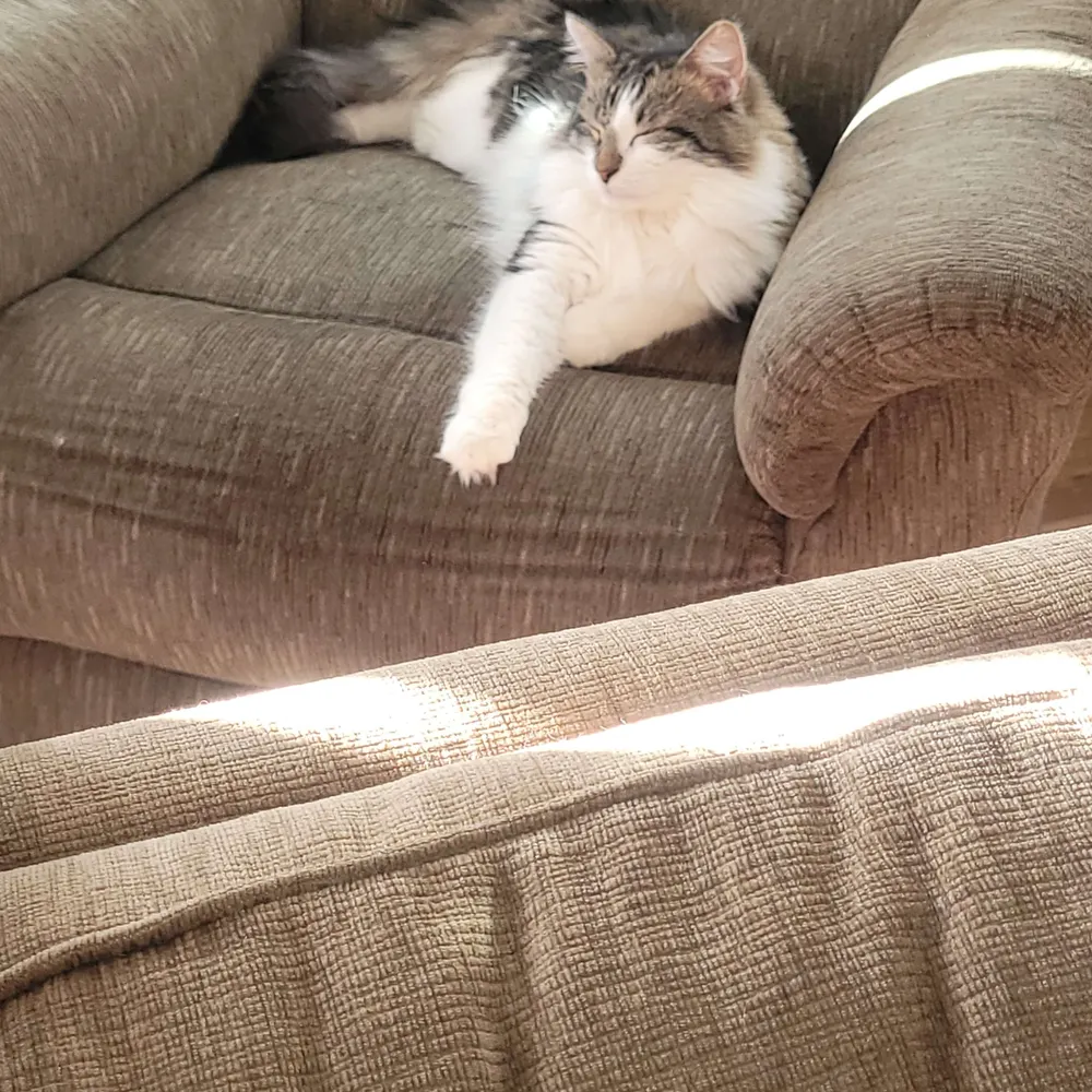 gbaileyny.bsky.social's profile picture