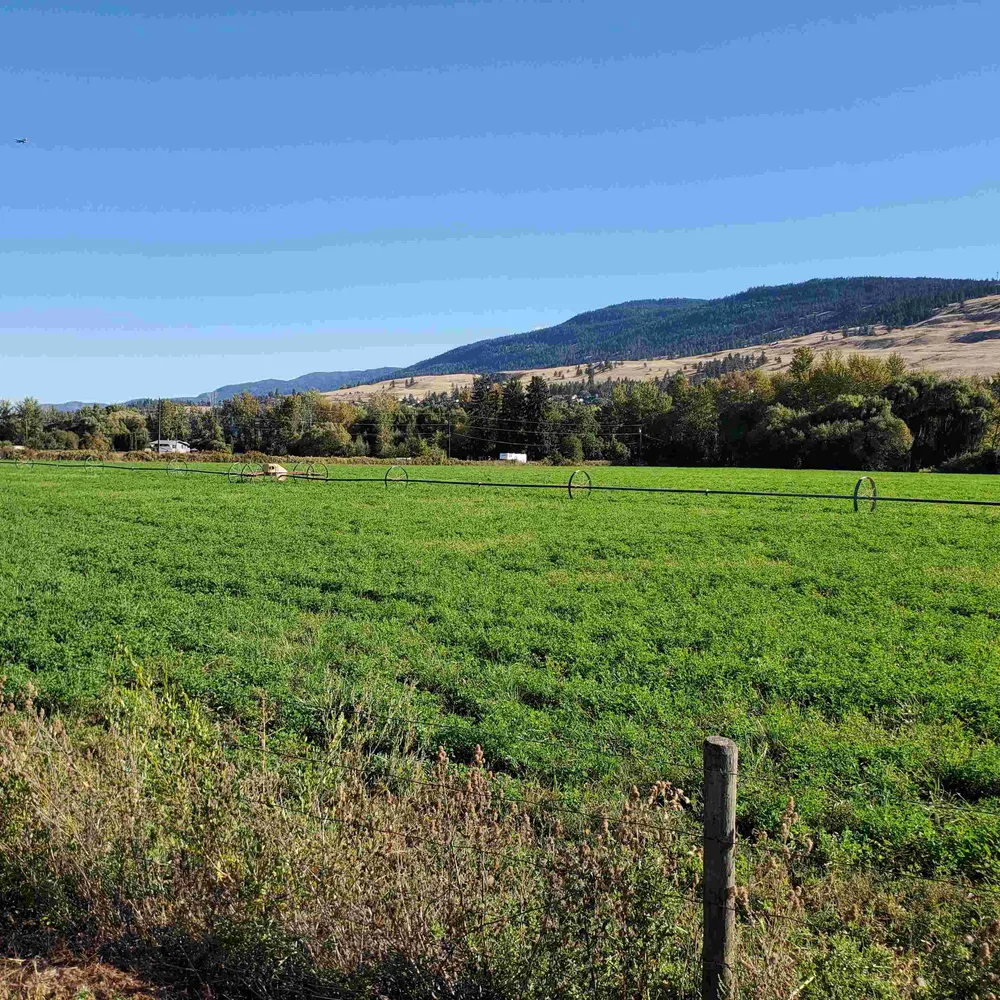 mamabear1212.bsky.social's profile picture