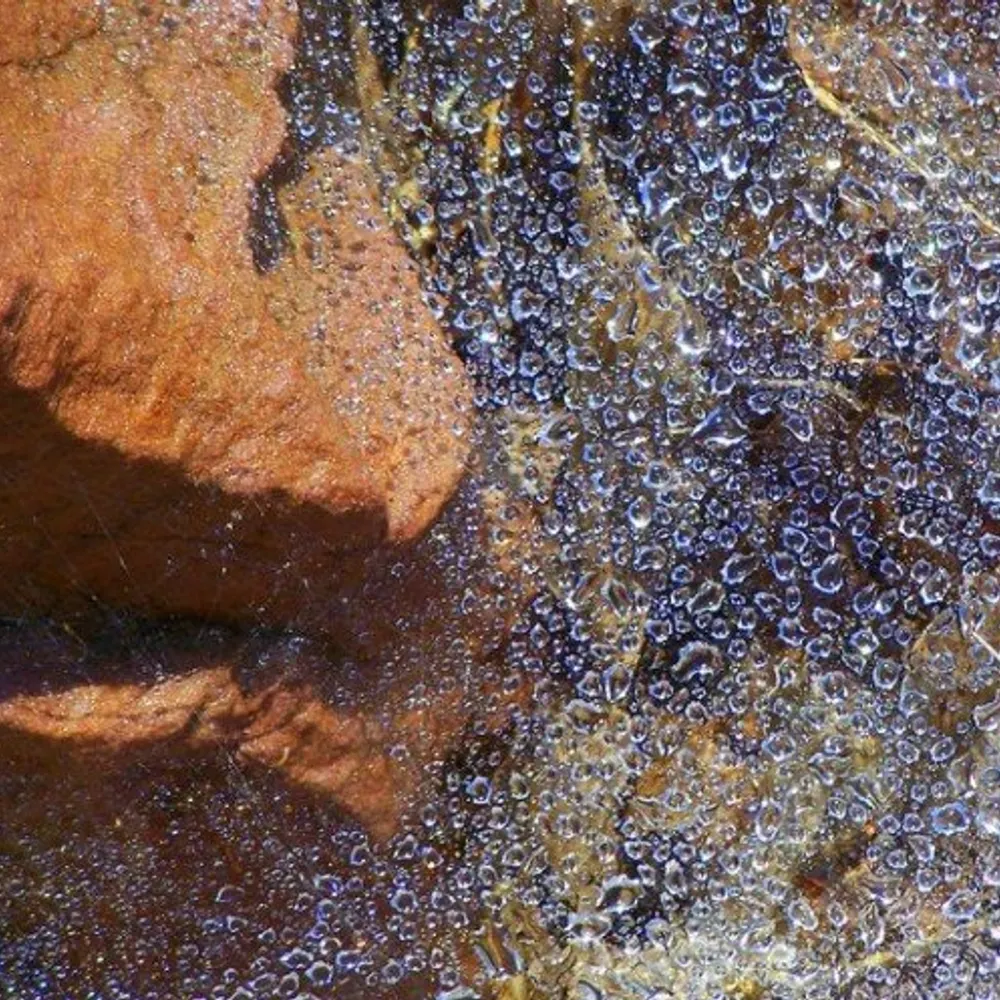 maplecoextec.bsky.social's profile picture