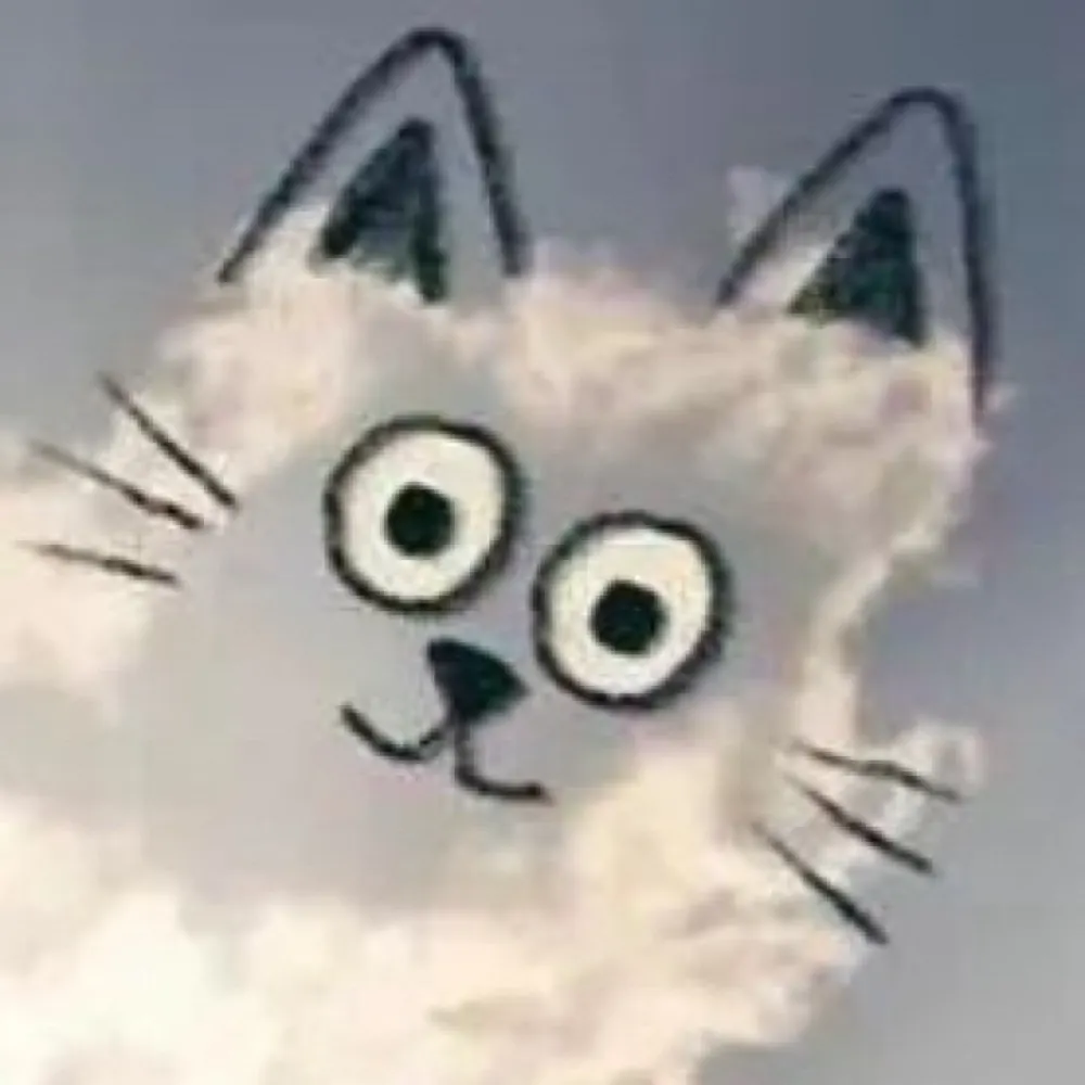 democratcats.bsky.social's profile picture