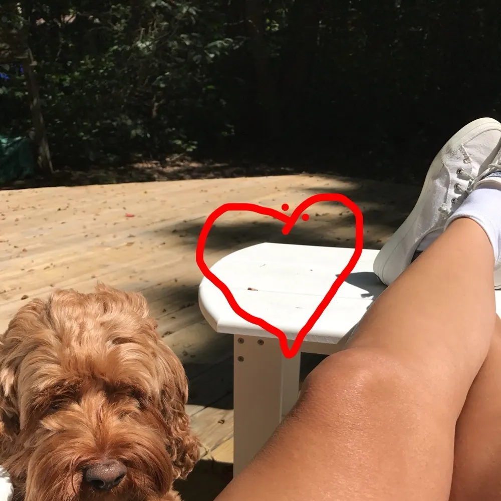 sassymaster.bsky.social's profile picture