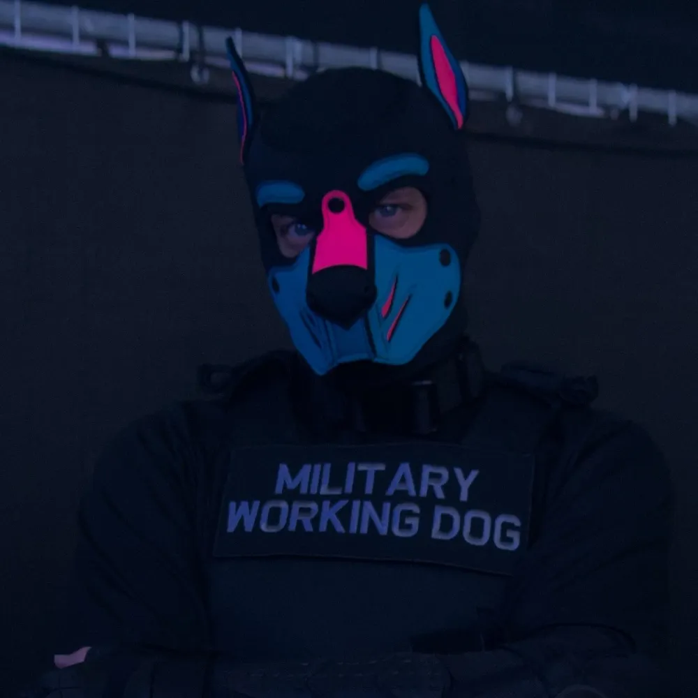 puppyrory.bsky.social's profile picture