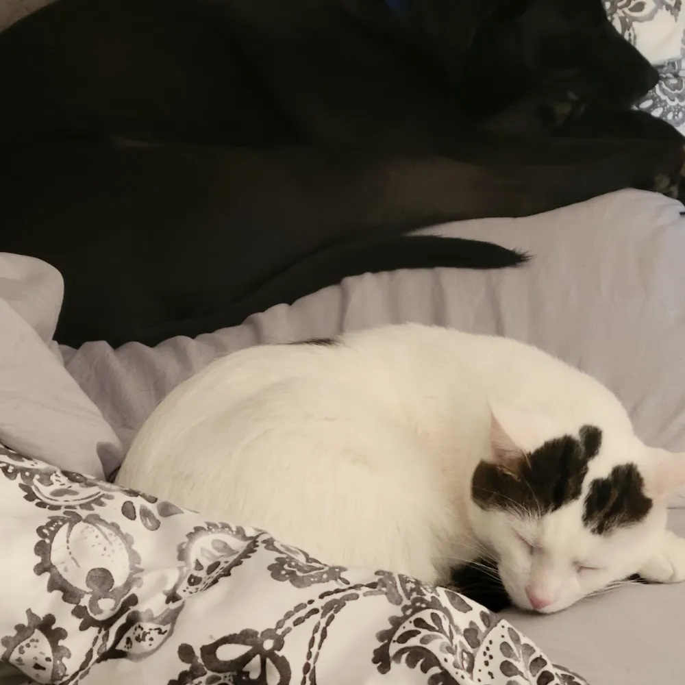 shel60.bsky.social's profile picture