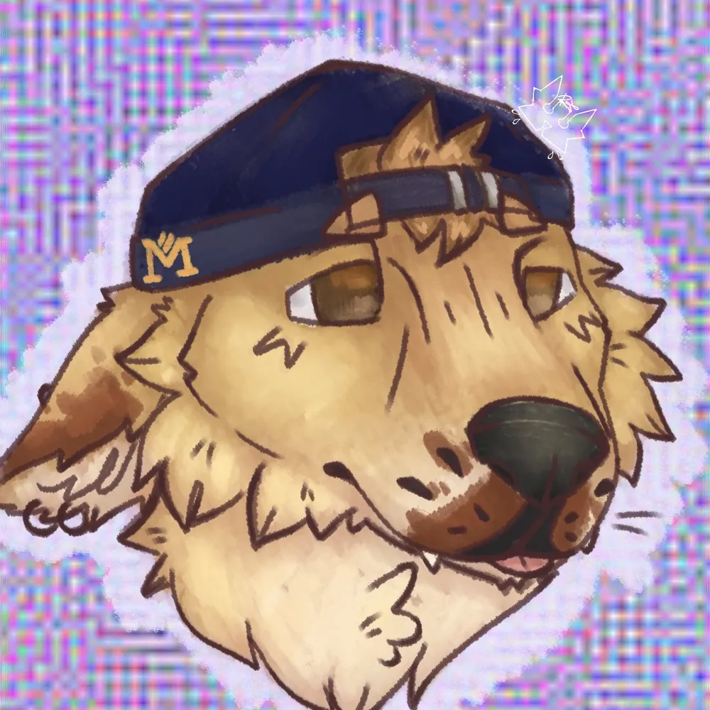 imlace.bsky.social's profile picture