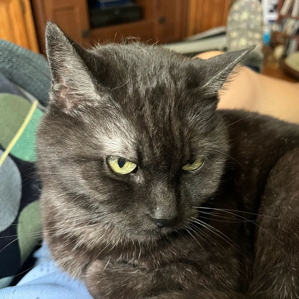 leanne3.bsky.social's profile picture