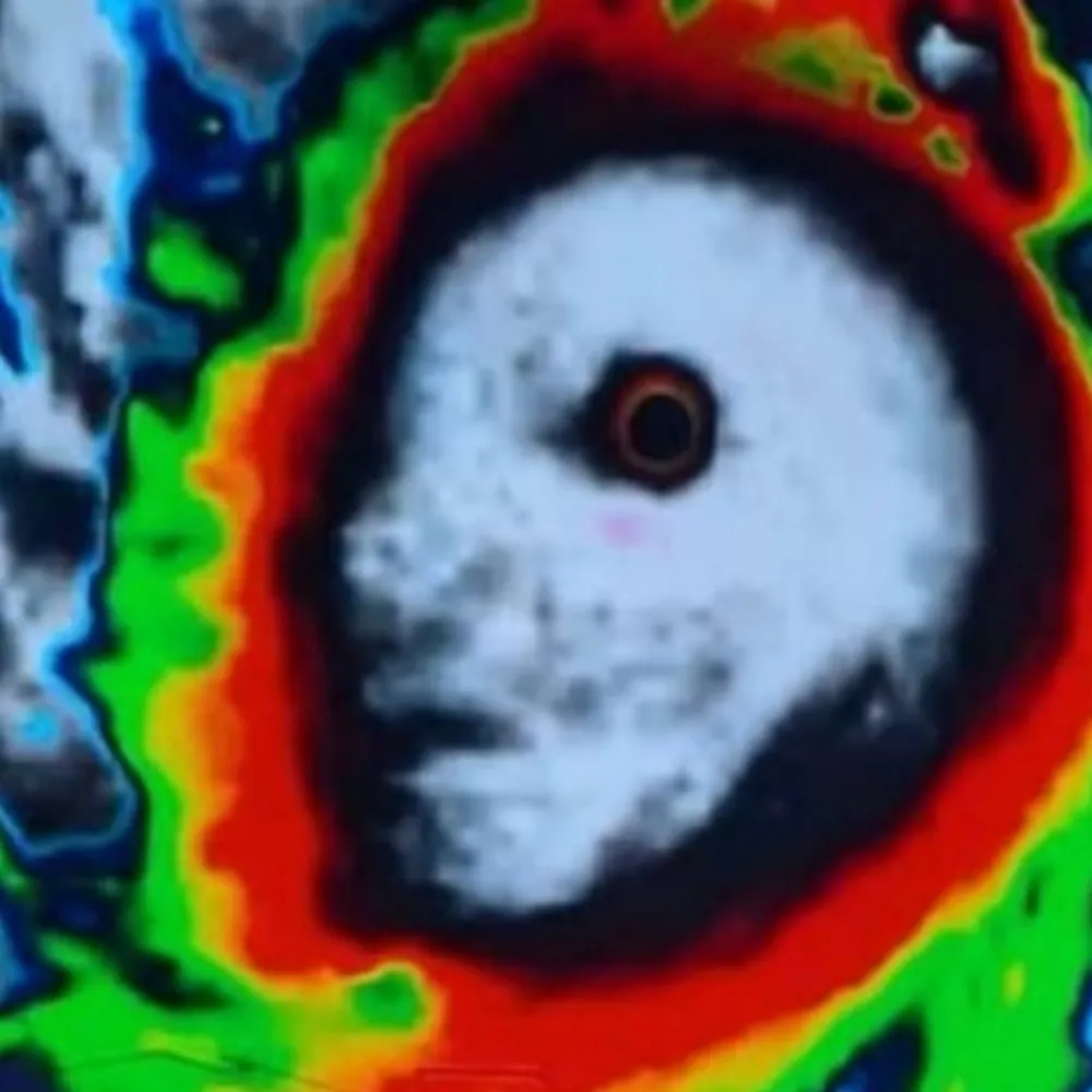 duvnal.bsky.social's profile picture