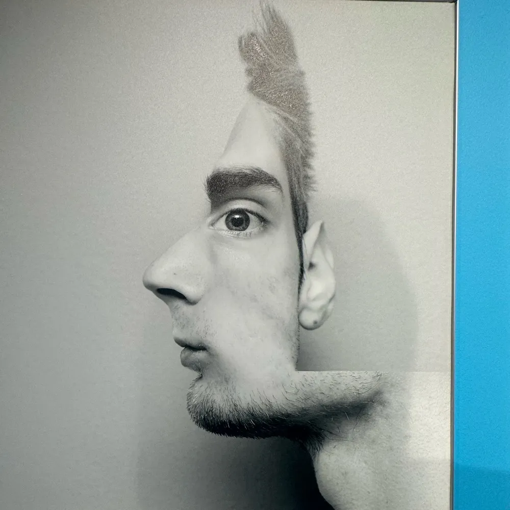 ascottsview.bsky.social's profile picture