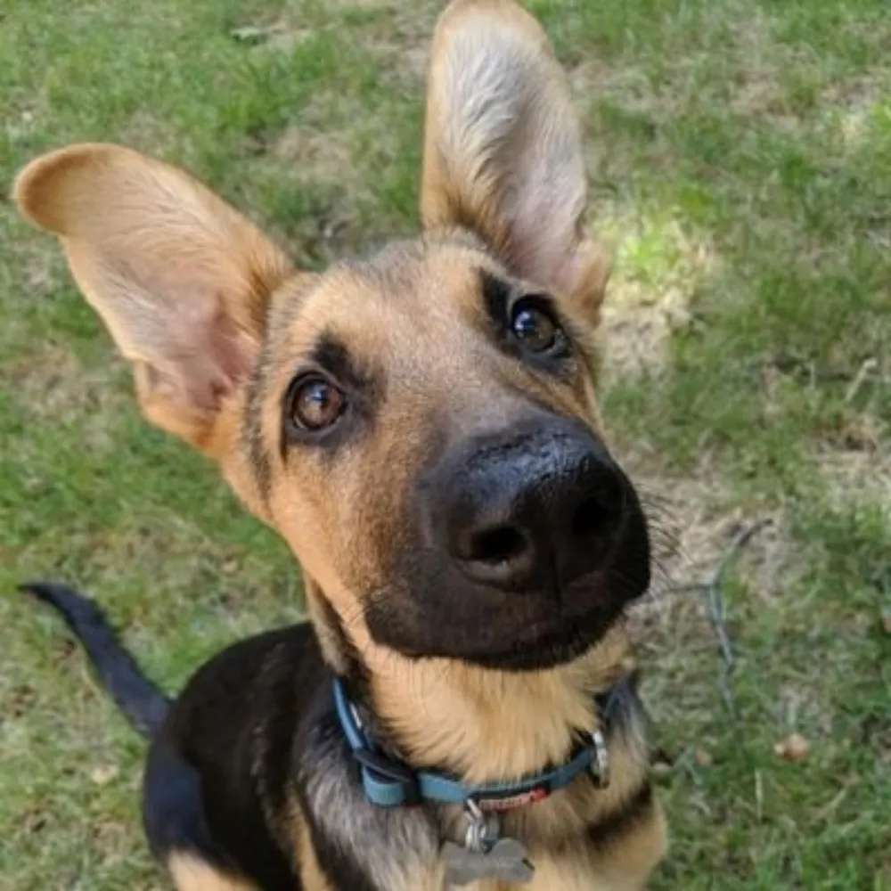 hpazz.bsky.social's profile picture