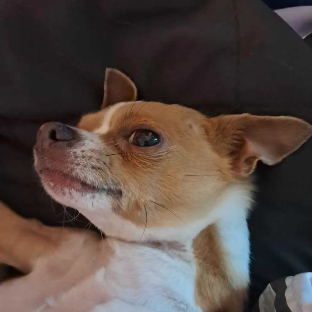 statuschanged.bsky.social's profile picture