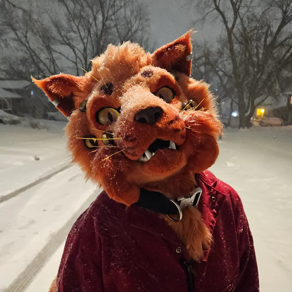 crtcryptid.bsky.social's profile picture