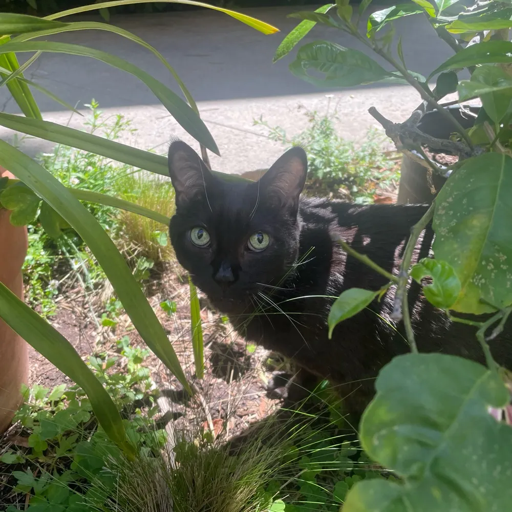 willemv1.bsky.social's profile picture